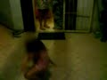 Everton e Emily