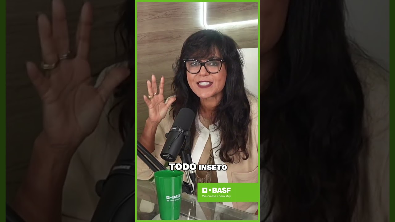 Dimpropyridaz: Combata a Cigarra e Proteja Seu Milho! #BASF