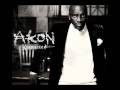 videos de Akon ft Freck Billionaire - Criminal Mind