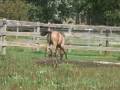 videos de Karter_2008.mpg