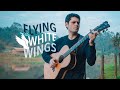 DANIEL PADIM - FLYING WITH WHITE WINGS