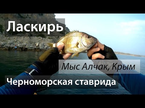 черное море.пикша.русская рыбалка черное море.пикша.русская рыбалка