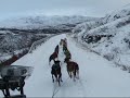 Fun Racing Kennel, the first snow training atumn 08