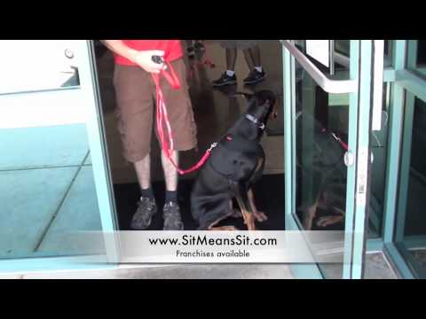 Doberman Pinser