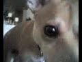 03-29-07_1140.3g2