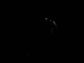 videos de puppetmaster lightshows