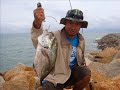 PAHANG PAW BREAKWATER KUANTAN GT FISHING MALAYSIA KUANTAN