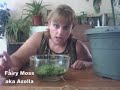 The Pond Plant Girl\ The Pond Plant Girl\