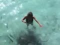 Fish Feeding and sunsets at Kuramathi
