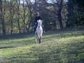 giboulé dressage giboulé dressage
