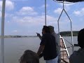 DUNAV, STARI BANOVCI, juli  2008