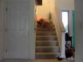 stair sledin