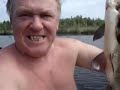 Язь - рыба моей мечты! | Source