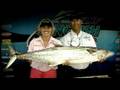 Daiel Branam Fishing Reel
