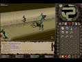 THE NEW KALPHITE QUEEN! THE NEW KALPHITE QUEEN!