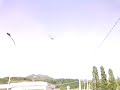 elicottero nel piazale della palestra di grignasco