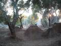 videos de homies @ cataract hills