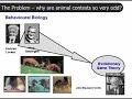 Mathematics of Evolution Part 3 Mathematics of Evolution Part 3