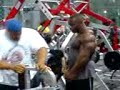 Back Workout