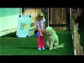 Doggy Boot Camp with Dakota