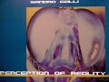 Sandro Galli - Perception Of Reality