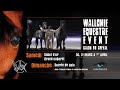 <p>D&eacute;couvrez le wallonie &eacute;questre event 2013</p>
