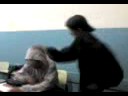 videos de Tapas