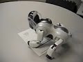 Aibo Desktop Manipulation - Paper Manipulation 1