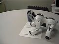 Aibo Desktop Manipulation - Paper Manipulation 1