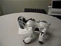 Aibo Desktop Manipulation - Paper Manipulation 1