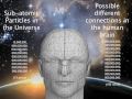 The Human Brain & Cybernetics
