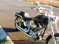 FXSTC 2008 Harley softail custom FXSTC 2008 Harley softail custom