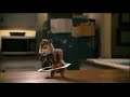 Alvin and The Chipmunks Sing Today\