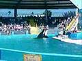 Miami Seaquarium March 10, 2005