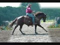 tinker western show tinker western show