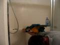 TEEKA SHOWER.wmv
