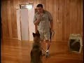 Dog Training - Attention - (AmazingDogTrainingMan.com)