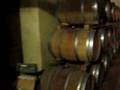 Wine tasting in Piemont, Italy: Cultural Part