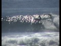 SebastianSurfer best of 2009 not Mick Fanning or Joel Parkinson no wipeouts