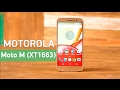 Видеообзор Motorola Moto M (XT1663) Gold