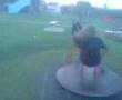 Freaky roundabout