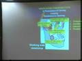 Parafunction Insight - 11