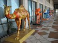 abu dhabi travel zeigt anhand stimmungsvoller bilder abu dhabi city, die haupstadt der vae inklusive vieler sehensw�rdigkeiten (emirates palace, corniche, hilton baynunah, al hosn fort, cultural foundation) und das emirat mit al ain, der oasenstadt, den kamelmarkt, den jebel hafeet und die w�ste rub al khali.
ein film von bernardo l�wenstein, abu dhabi travel: www.abudhabitravel.net