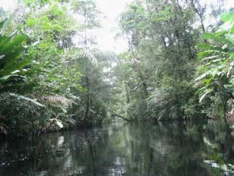 0 La Crique Gabriel en Guyane   Vidéo