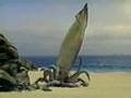 Sea Creatures: Cup Noodle CM