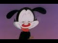 High Contrast and the Animaniacs