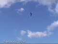 TRex Heli vs 8 Combat Wings