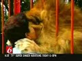amazing-hug.html