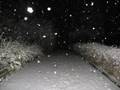 videos de Martin Östlund - Frozen Tears (A Winter Theme)