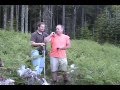 Sight-Impaired Geocacher